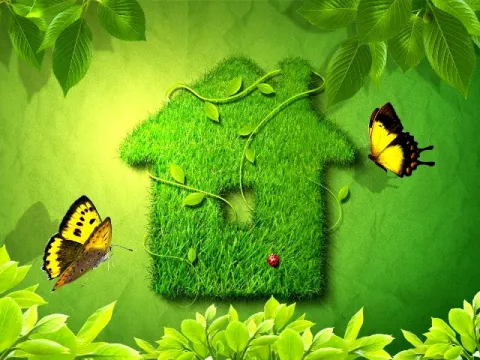 Новий життєвий простір починається у власній голові