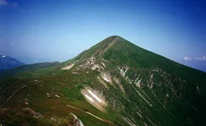 Плювок в лице Говерли