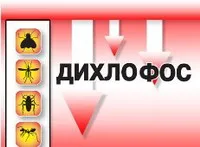 Дмитро Корчинський: Не можна дозволяти таким дивним суб'єктам як Марков гнати у нашій присутності