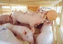 Українці відмовляються фінансувати вілли, казіно та майбахи для еліти