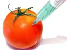 Маркування продуктів із ГМО не знижує ризики для здоров’я українців - експерт