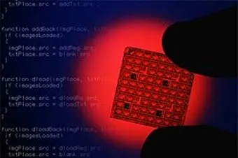 Всім британським собакам примусово вставлять чипи