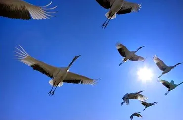Суспільство зараз виглядає як перегріта соціальна вода: або з’явиться центр кристалізації, або все вибухне