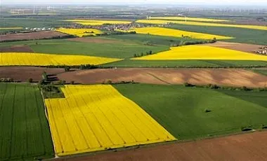 ВР дозволила продавати іноземцям українську землю