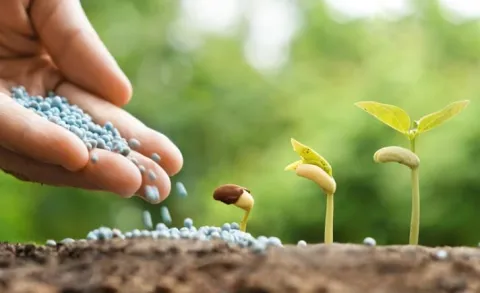 Засоби захисту рослин: вибір та застосування