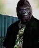 Заарештовано маніяка-афроамериканця, який полюбляв гвалтувати білих пенсіонерок