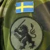 Швеція відмовилася від нейтралітету і захищатиме країни Балтії від російської агресії