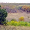 „Мистецька толока на річці Калка”
