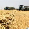„Фахівці” знову плутаються в цифрах