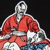 Багато положень законопроектів просто принижують статус української мови