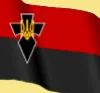 На 12 січня офіційно підтверджено затримання 11 членів ВО «Тризуб»