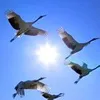 Суспільство зараз виглядає як перегріта соціальна вода: або з’явиться центр кристалізації, або все вибухне