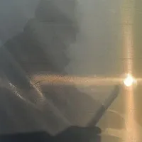 Тепер кожен може дізнатись, в яких компаніях Азаров та Янукович є засновниками