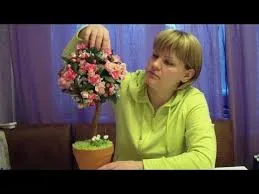 Реальність- це плід нашої уяви    (вислови друзів Луїзи Хей)