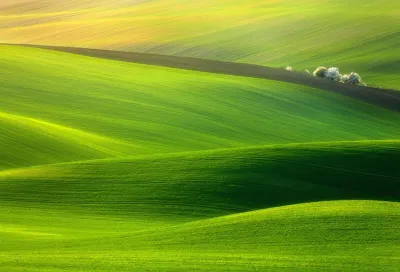 Краса природи