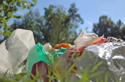 Як у світі борються з поліетиленовими пакетами