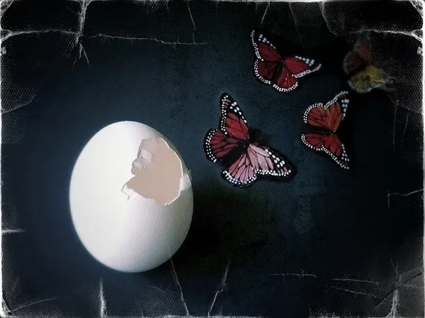 rebefing_photo