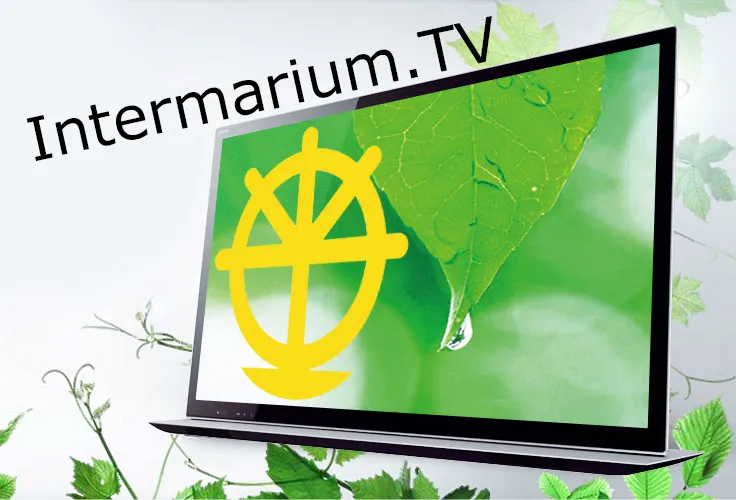 Intermarium-TV - телемережа продуктивного спілкування
